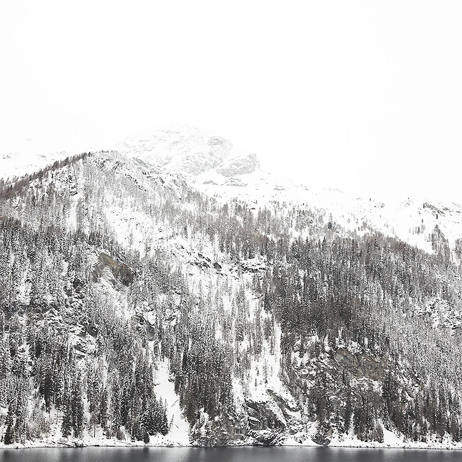white - nel bianco qualcosa