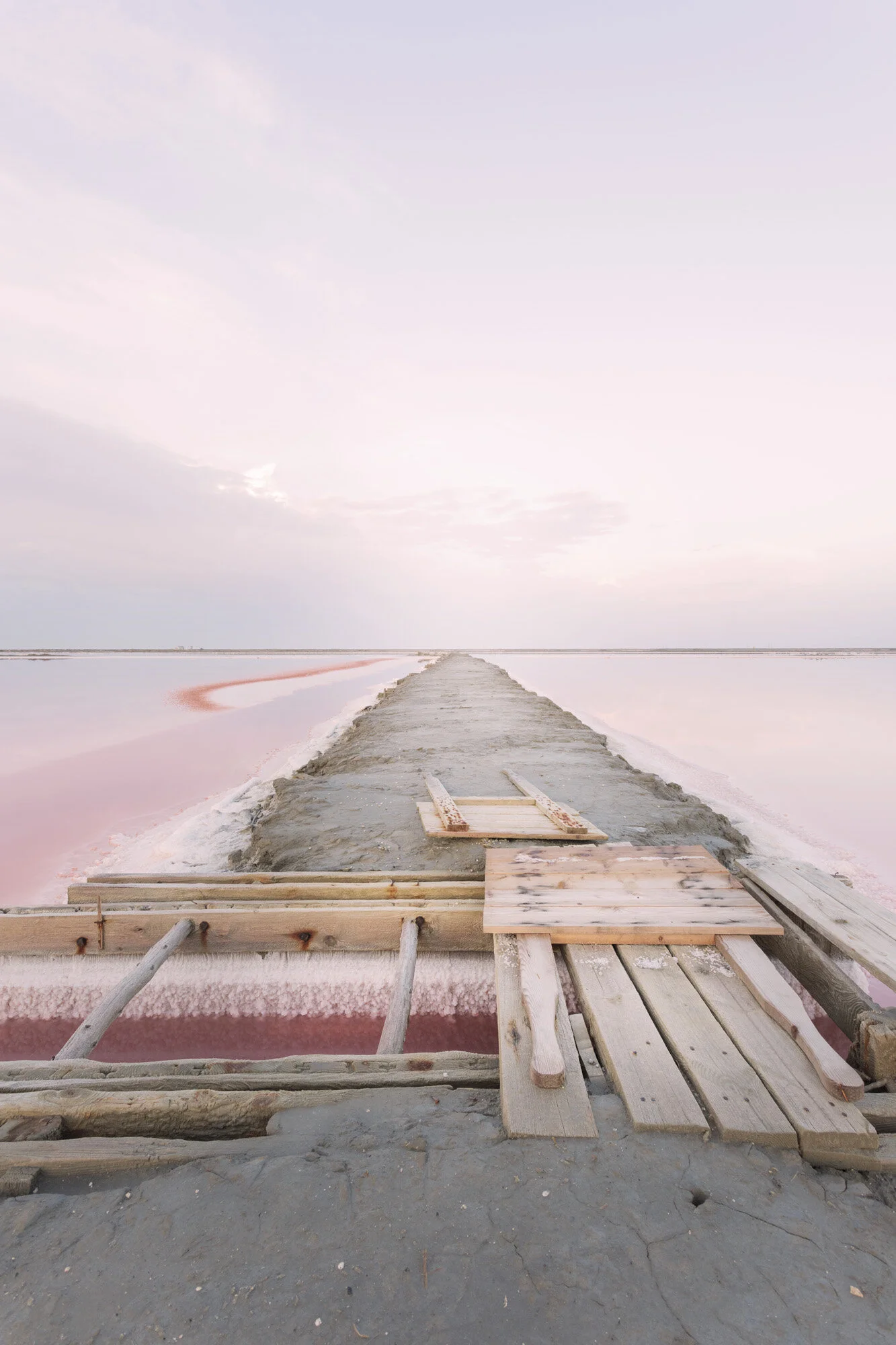 Camargue Sauvage - un po' più vicino al vento