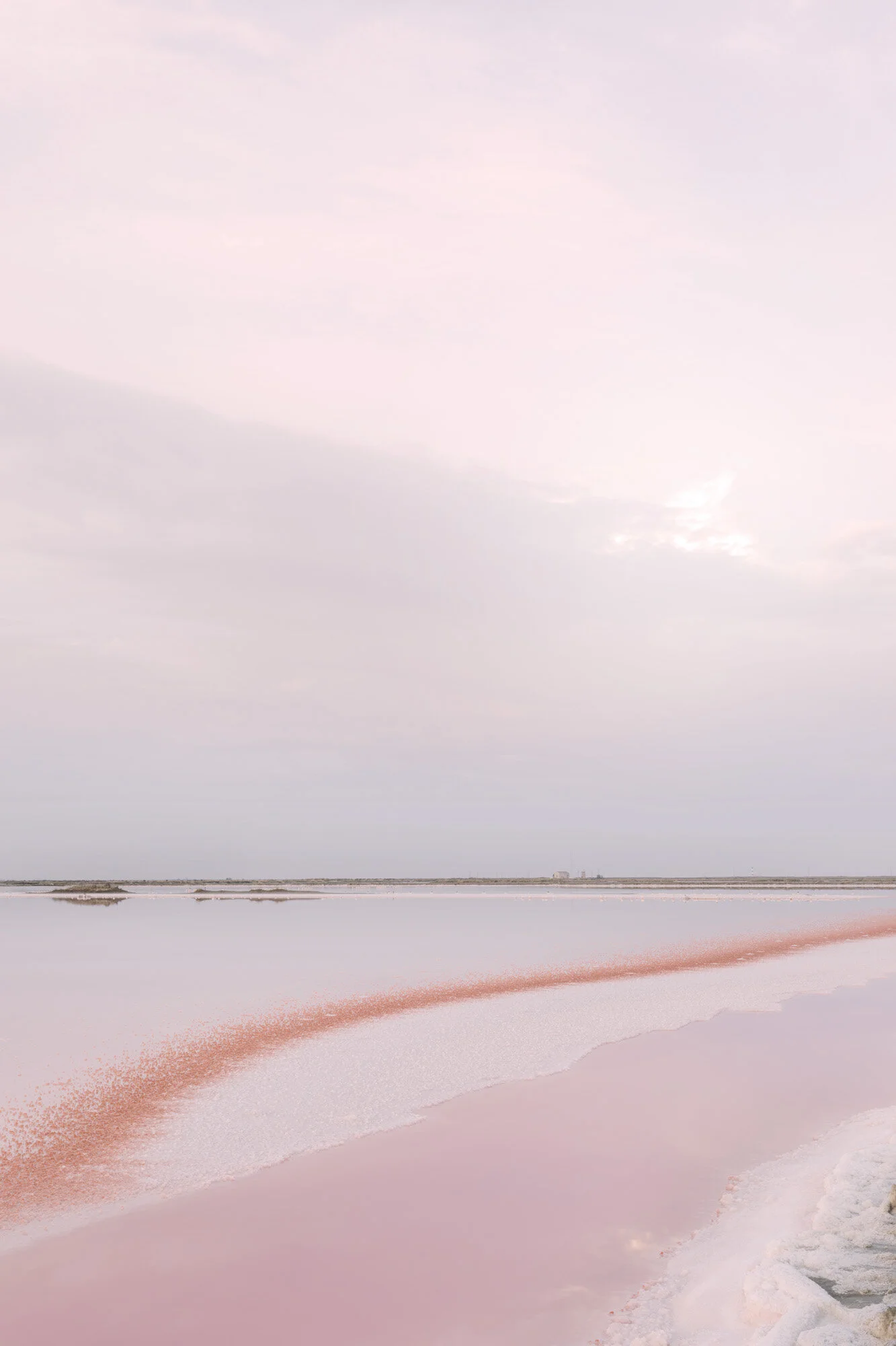Camargue Sauvage - un po' più vicino al vento