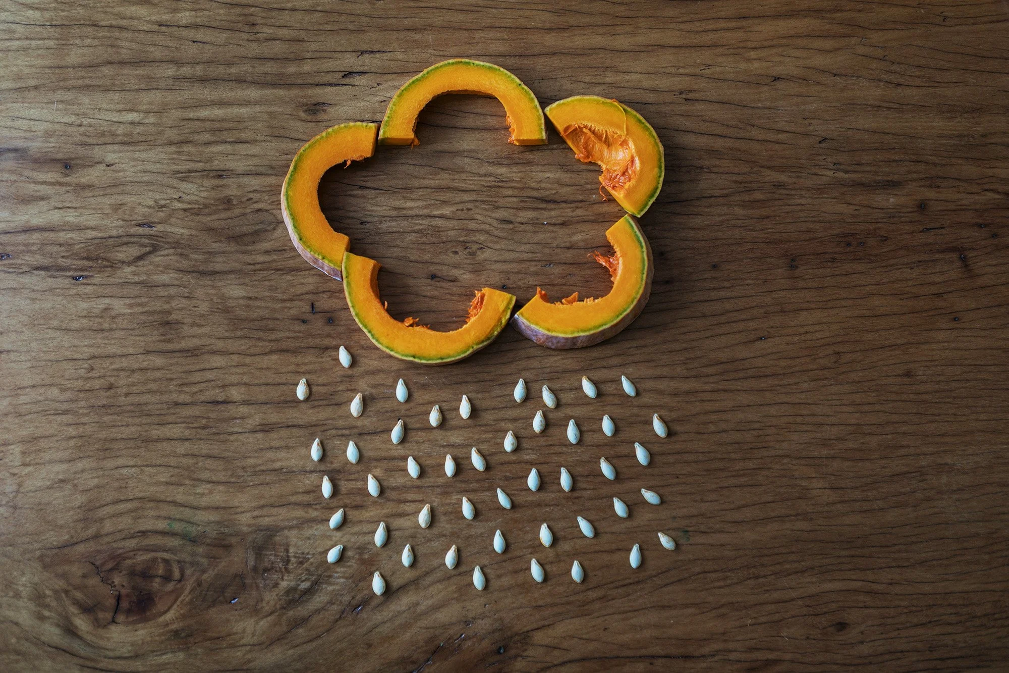 Poesia della materia - Zucca