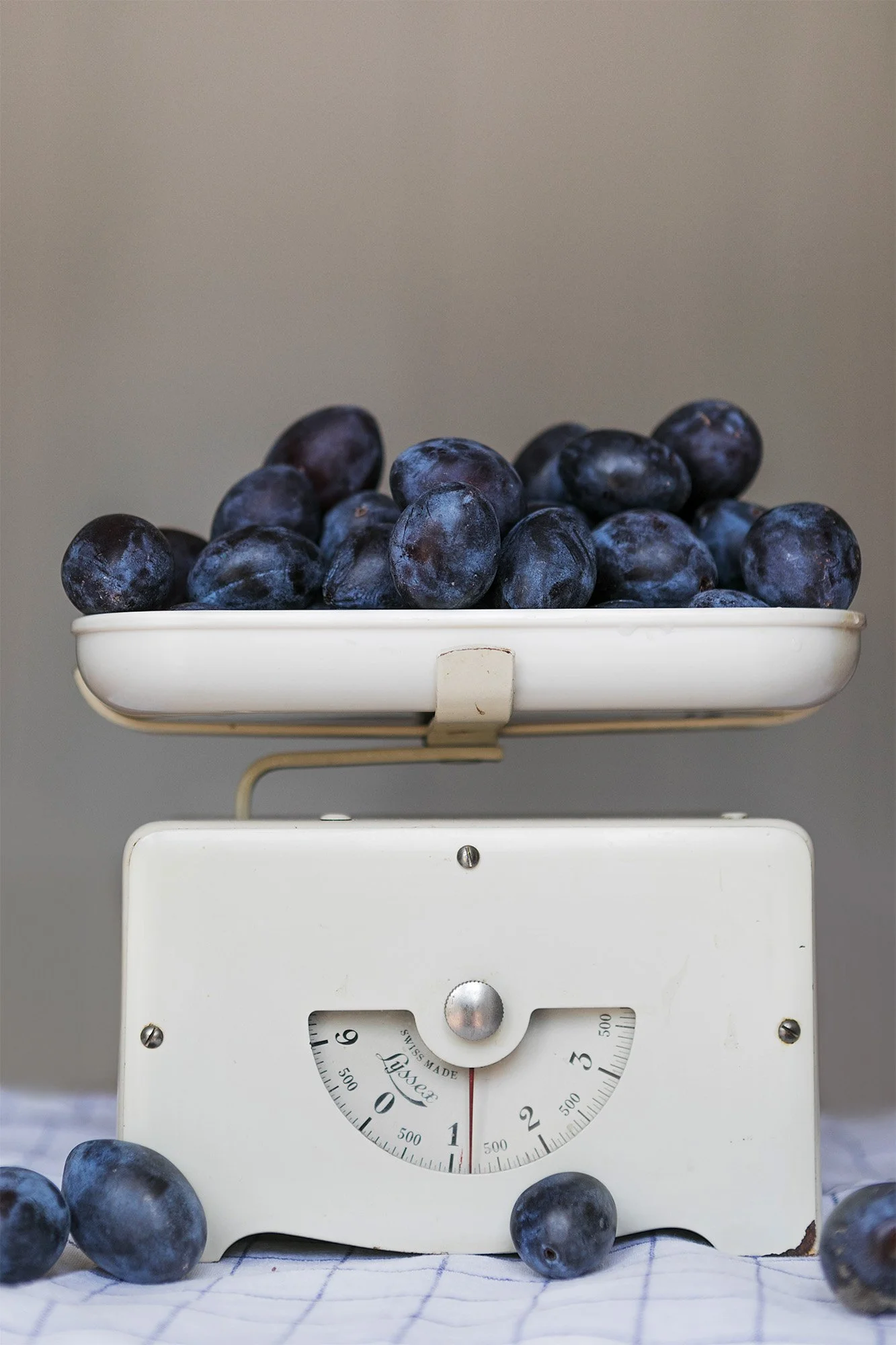 Poesia della materia - Prugne