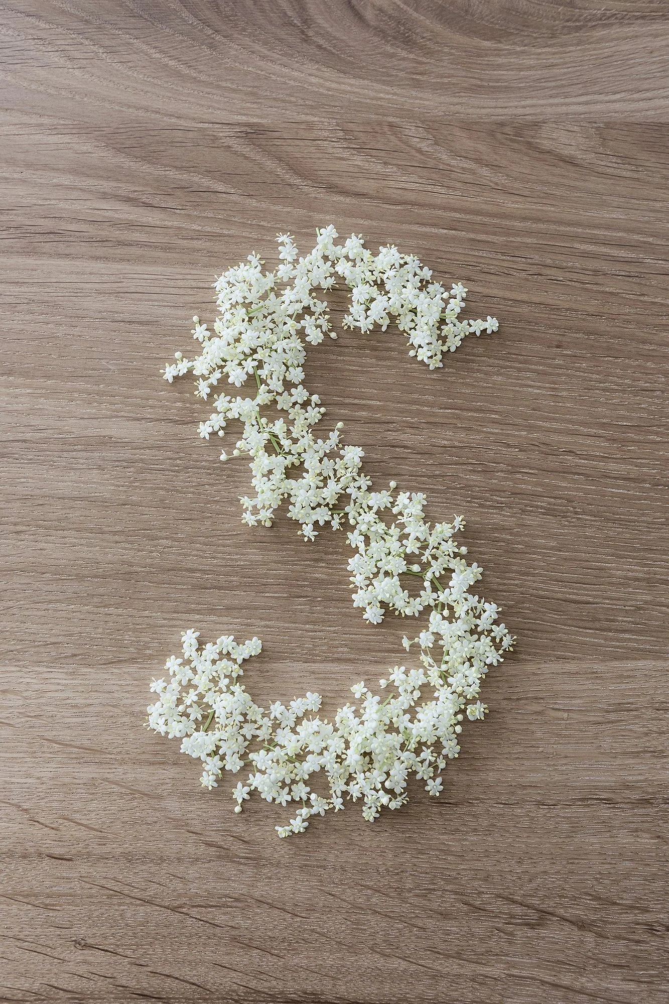 Poesia della materia - Sambuco