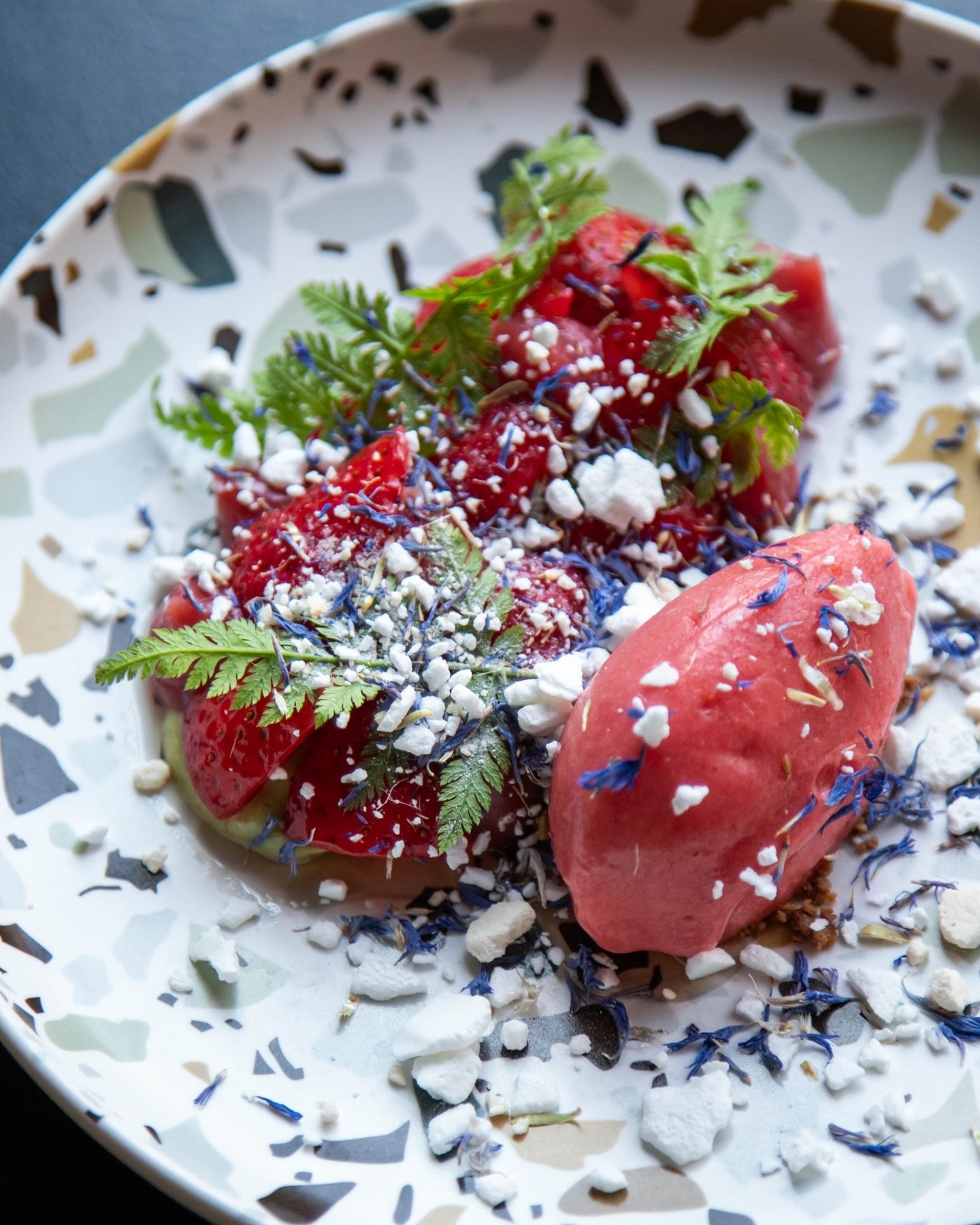 Ny 4-retters sommermenu p&aring; Maven 🌸
Sommeren har fundet vej til tallerkenen, og vores nye 4-retters menu er en hyldest til s&aelig;sonens friske r&aring;varer. Middagen starter med sandart serveret med citrusfrugter, avocado og gr&oslash;nne jo