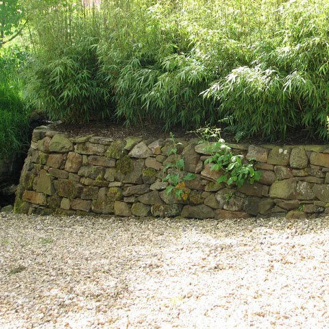 303.jpg
