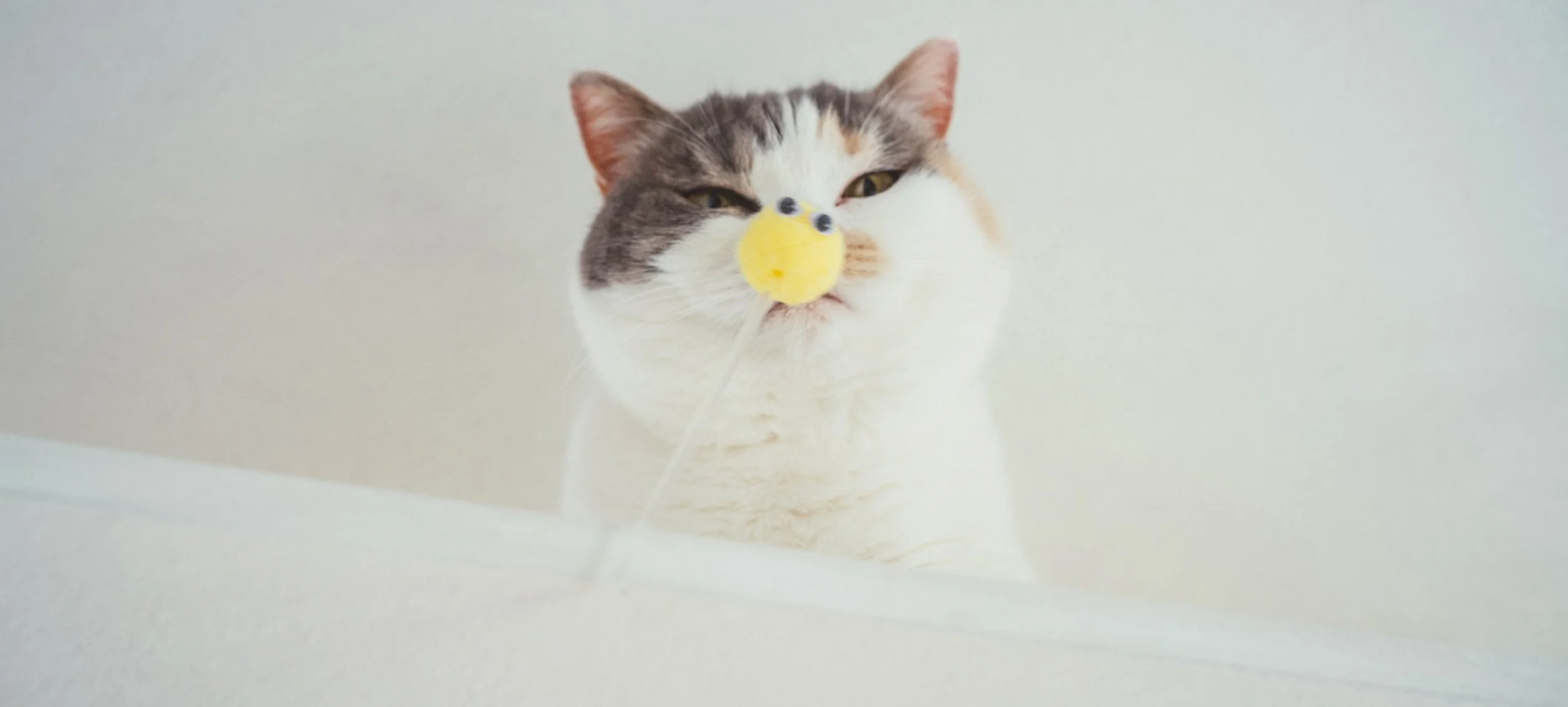 やまさま♥オーダー♥おまとめ❤専用♥オルゴナイト Orneko ⭐️憂殺猫様⭐️オルゴナイト オーダー®️