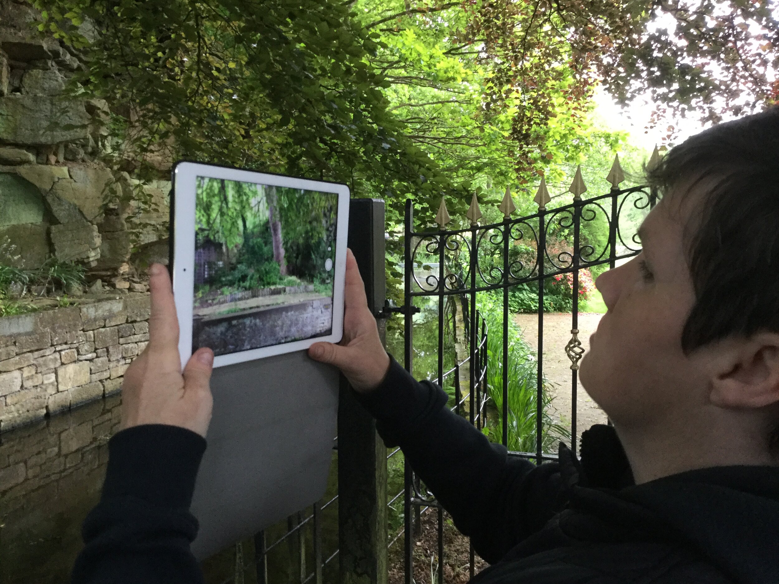Participant using the ipad to take an image of trees