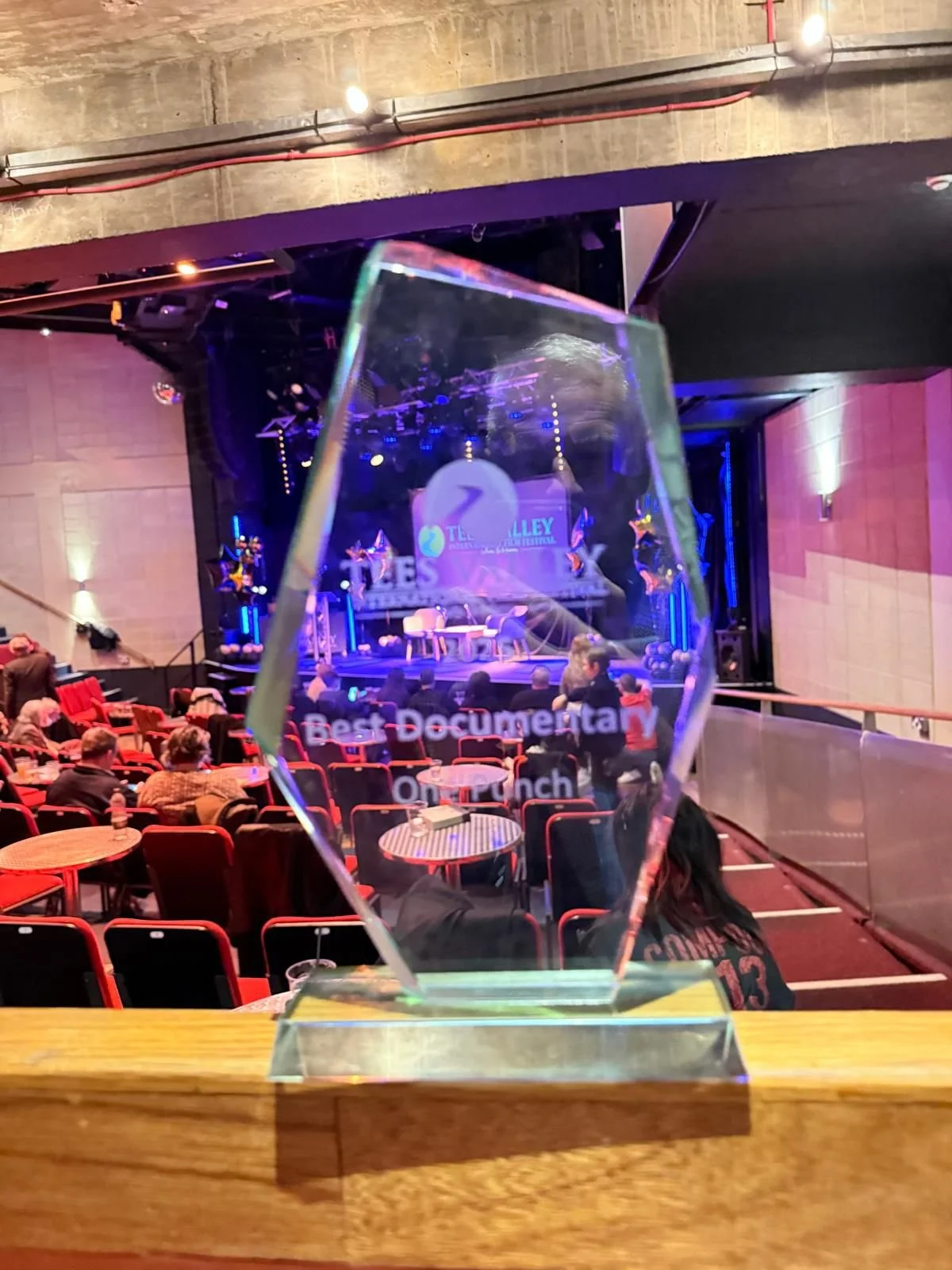 Digital Voice wins Best Documentary at Tees Valley International Film Festival