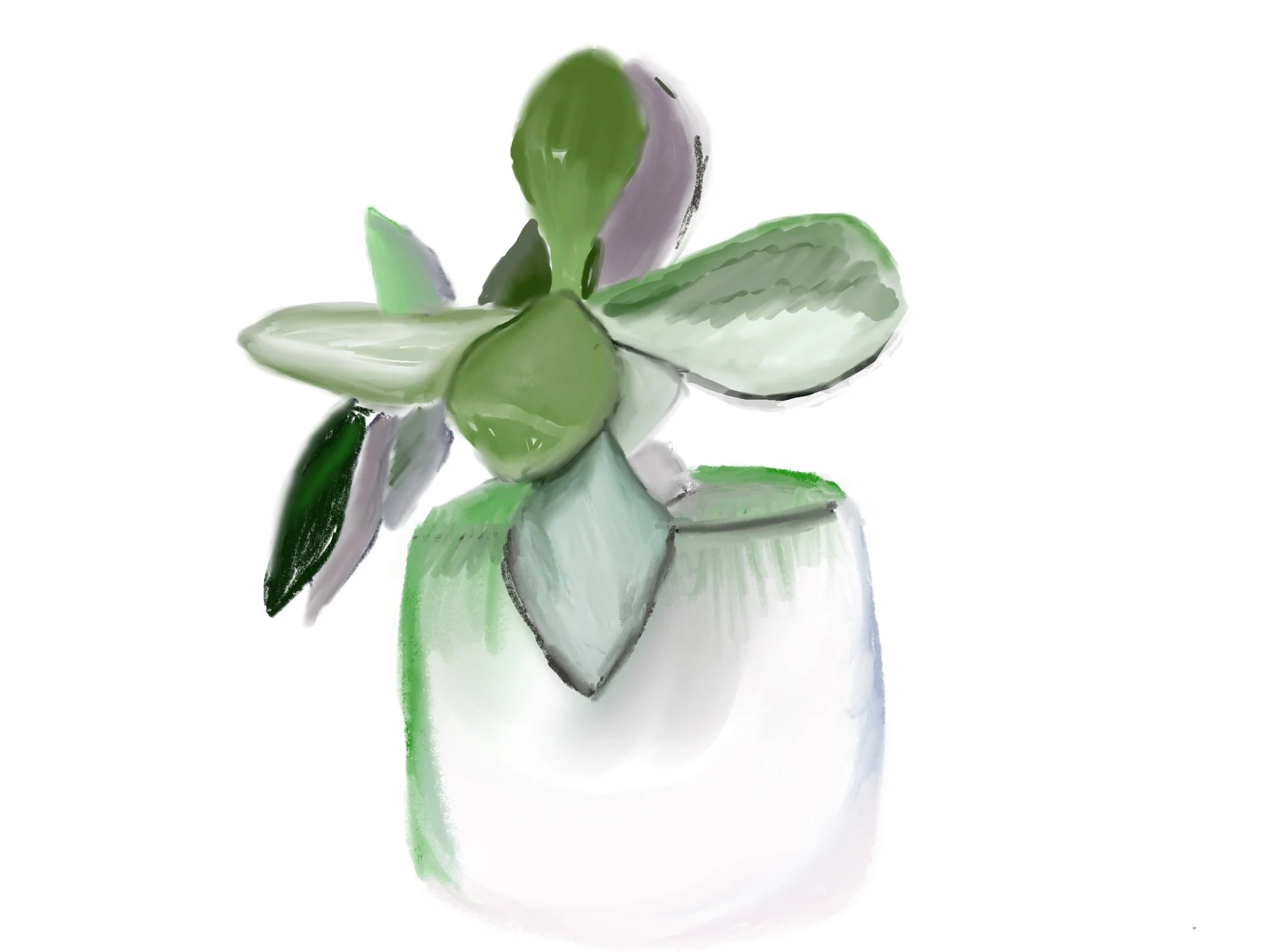 a example 2 BF3F3AE1-0C77-42C0-8010-1008B4763992.jpeg