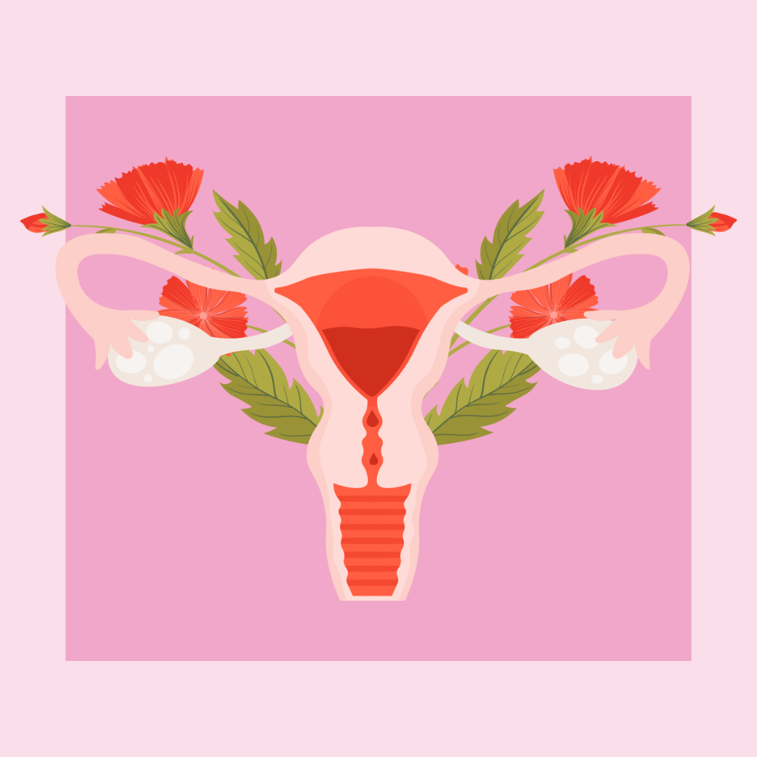 Ladiesnight - Vortrag "Der weibliche Zyklus - Segen oder Fluch?"