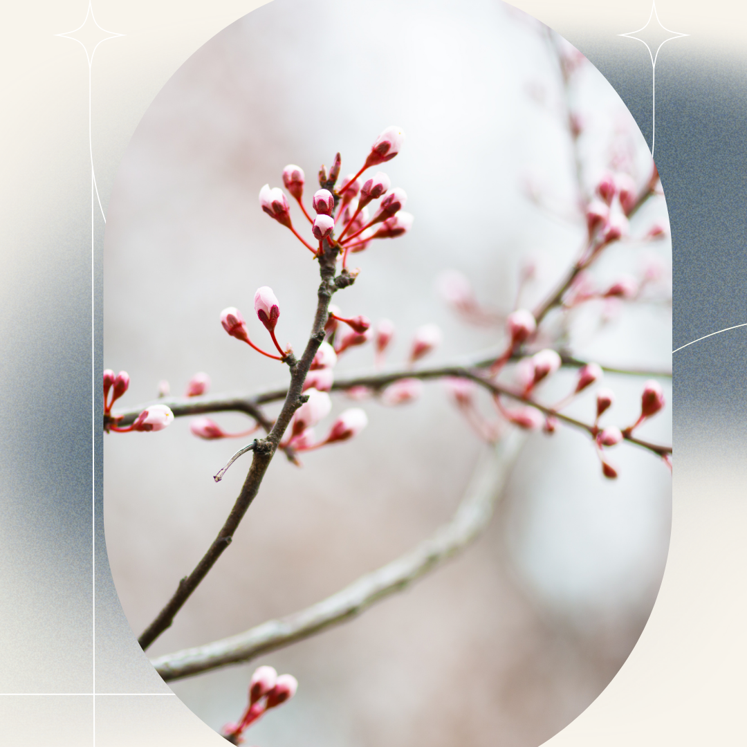 Gott Konkret   - Erlösung gefällig (Jona Teil 3)