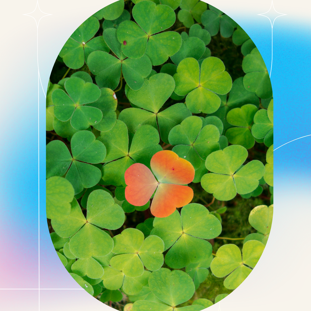 Gott Konkret - "Gott ist so anders" (Jona Teil 4)