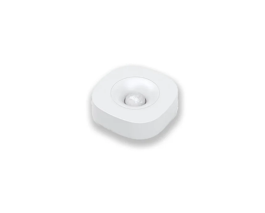 motion%2Bsensor%2Bon%2Bwhite1.jpg