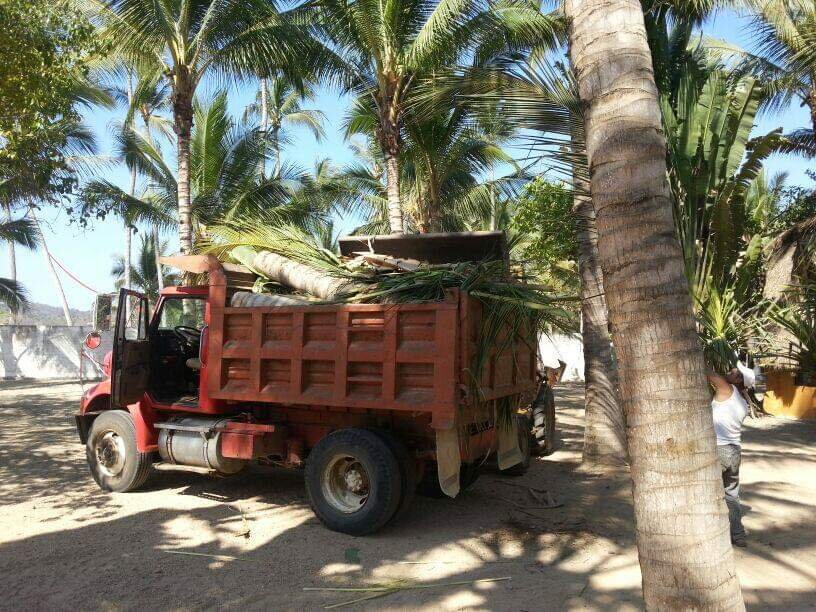 Copy of We Take Care Of All Waste thru Recycling And Composting.