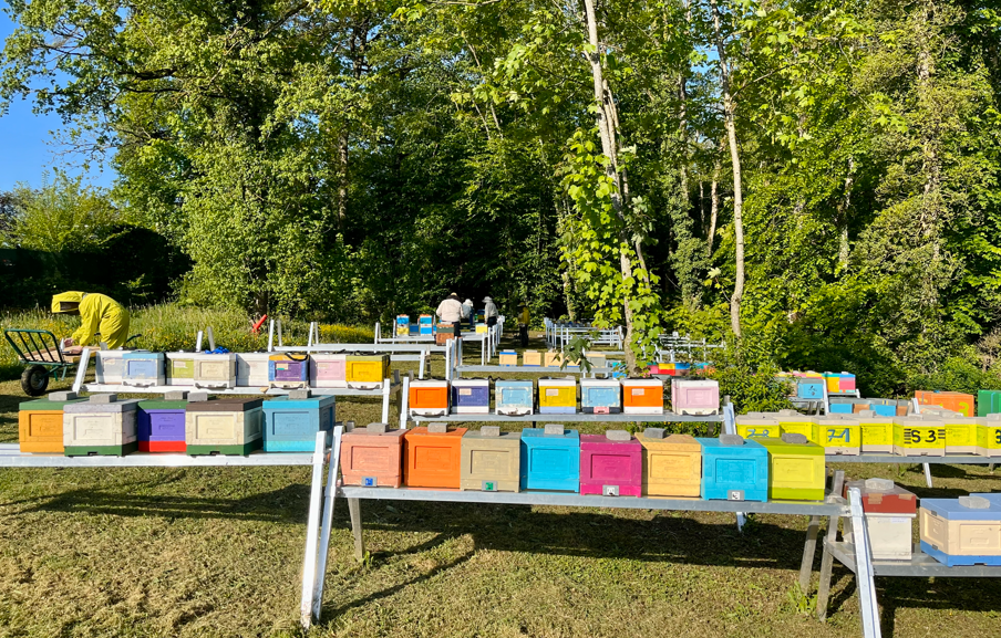 FORMATION : Préparer sa venue en station de fécondation