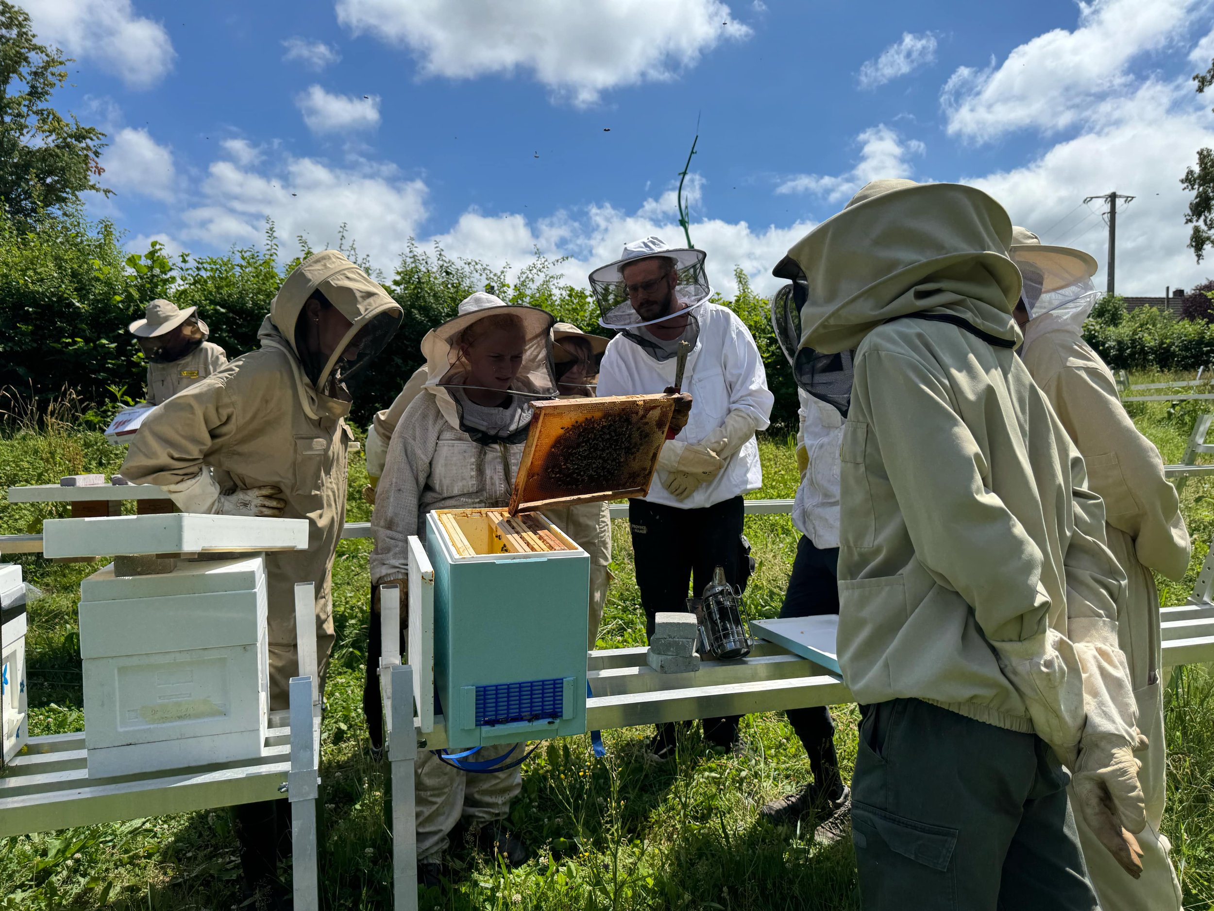 FORMATION : A savoir absolument pour débuter en apiculture…