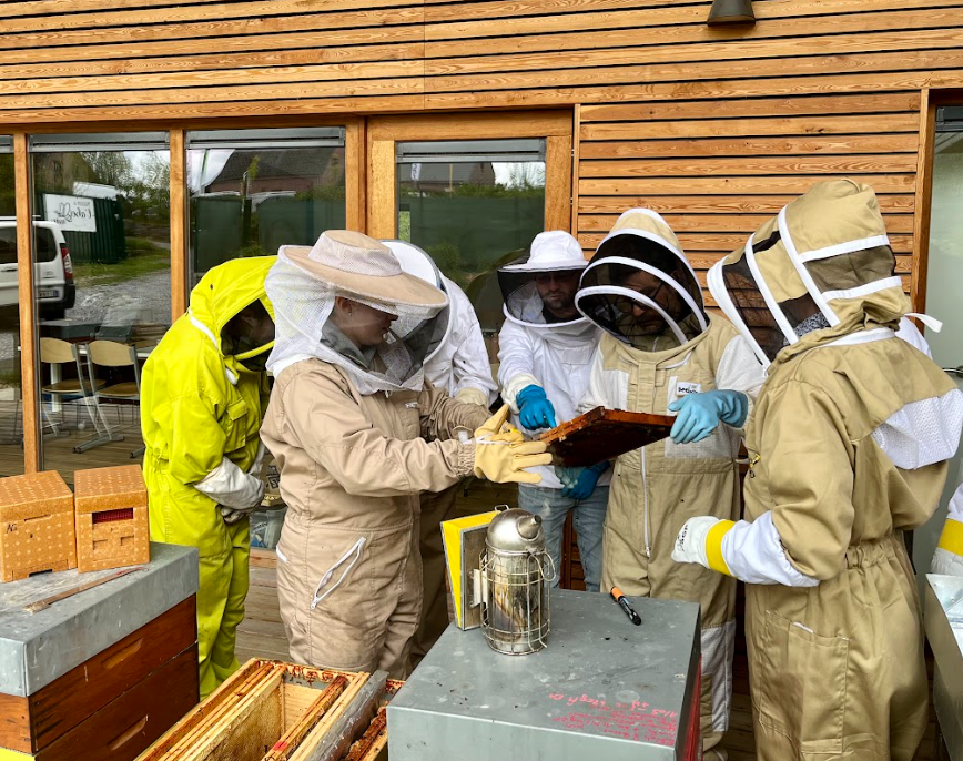 FORMATION : "Devenir apiculteur avec l'abeille noire" (1ère année) 