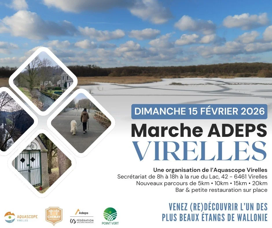 ACTIVITE : Marche ADEPS organisé par Aquascope Virelles