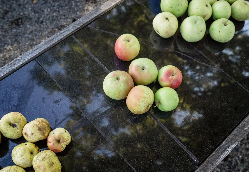 Apple Conveyor Shacks.JPG