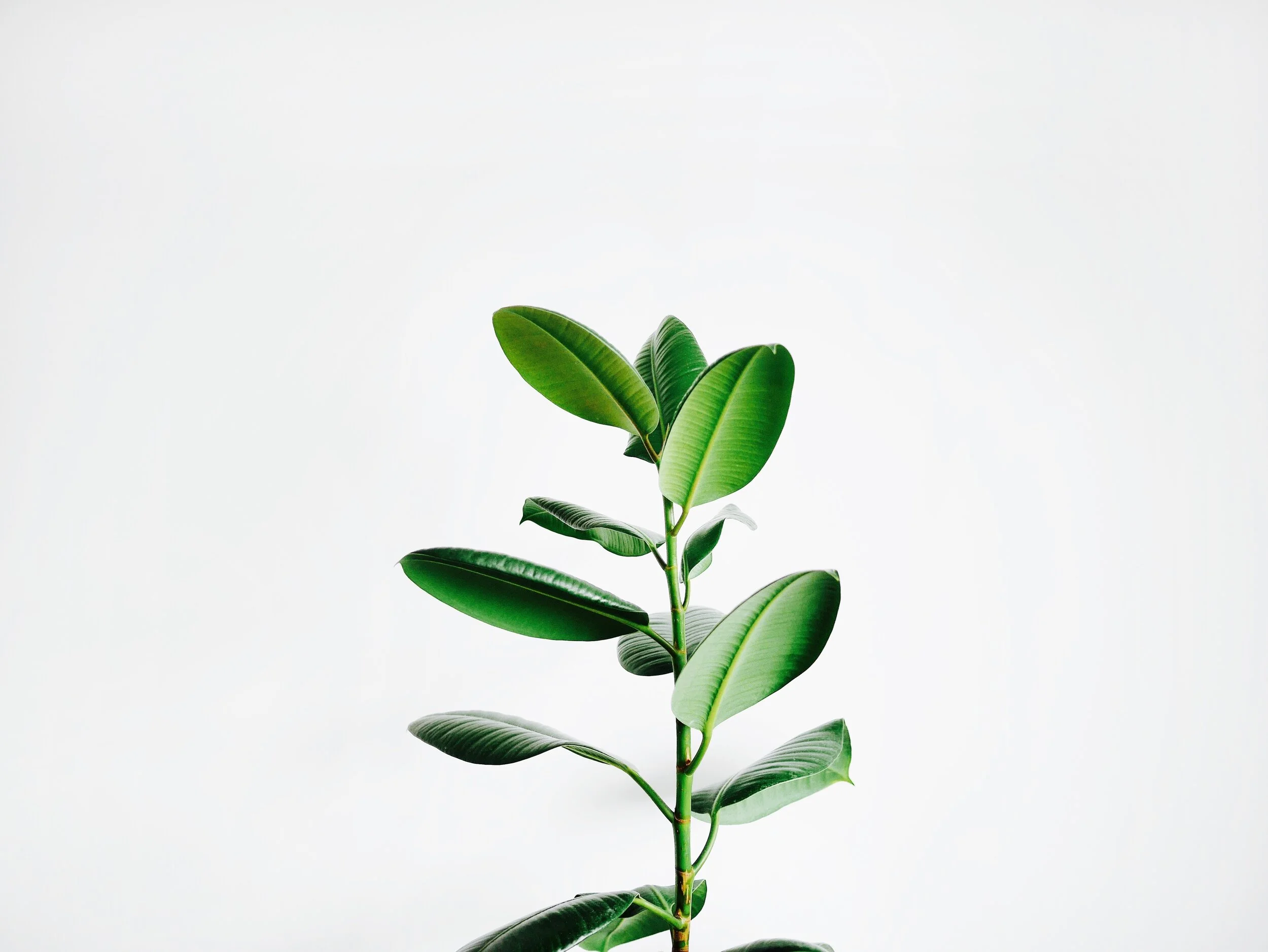 5 ways we’re trying to be a more sustainable salon