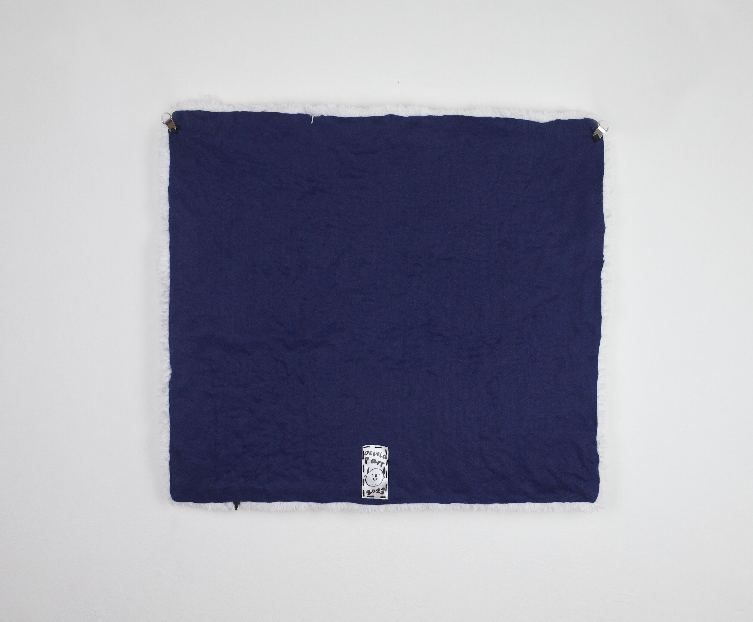 C063138E-9D6D-4D21-909A-B609E8AAAAD4