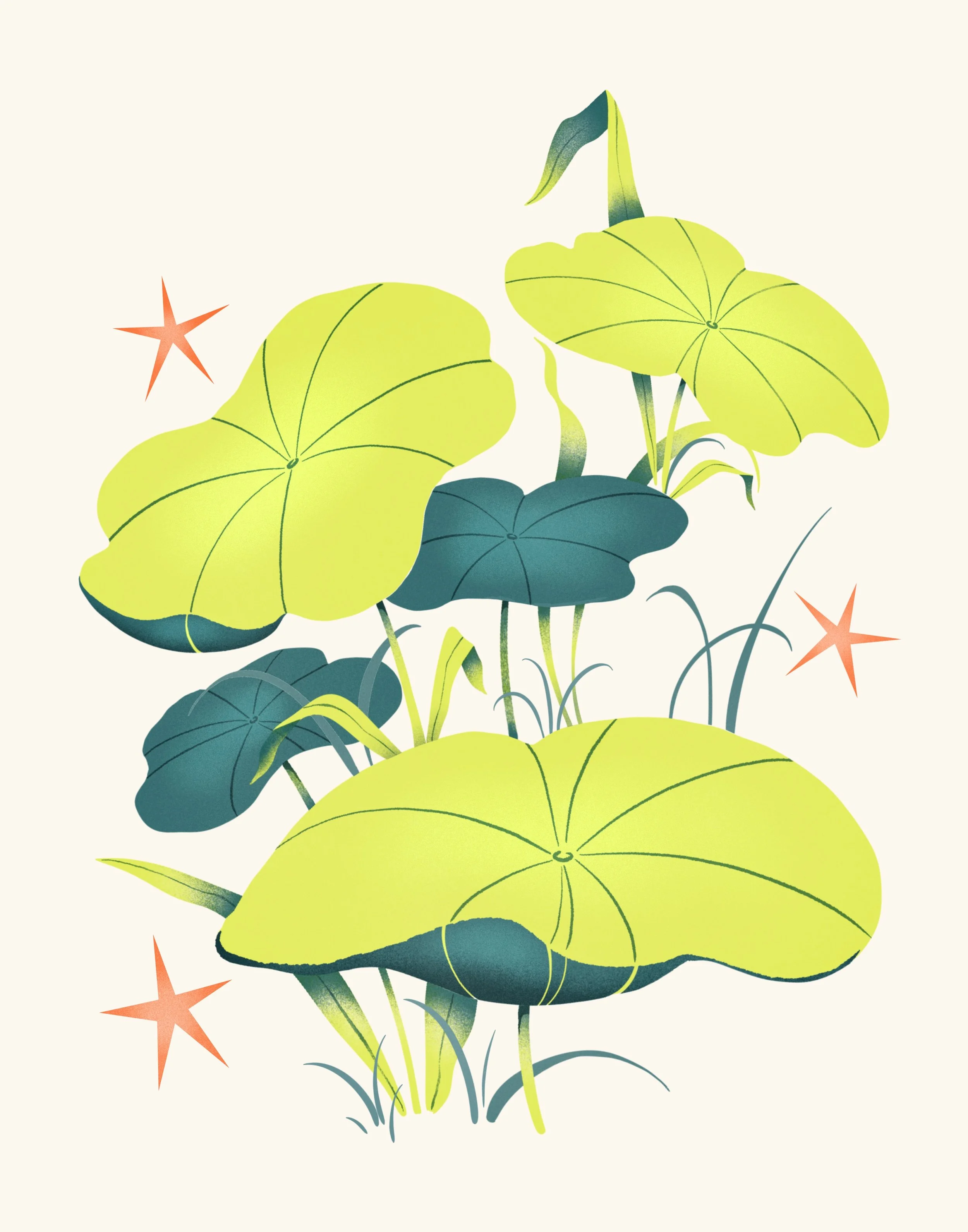 Digital - Lilypads sketchbook.png