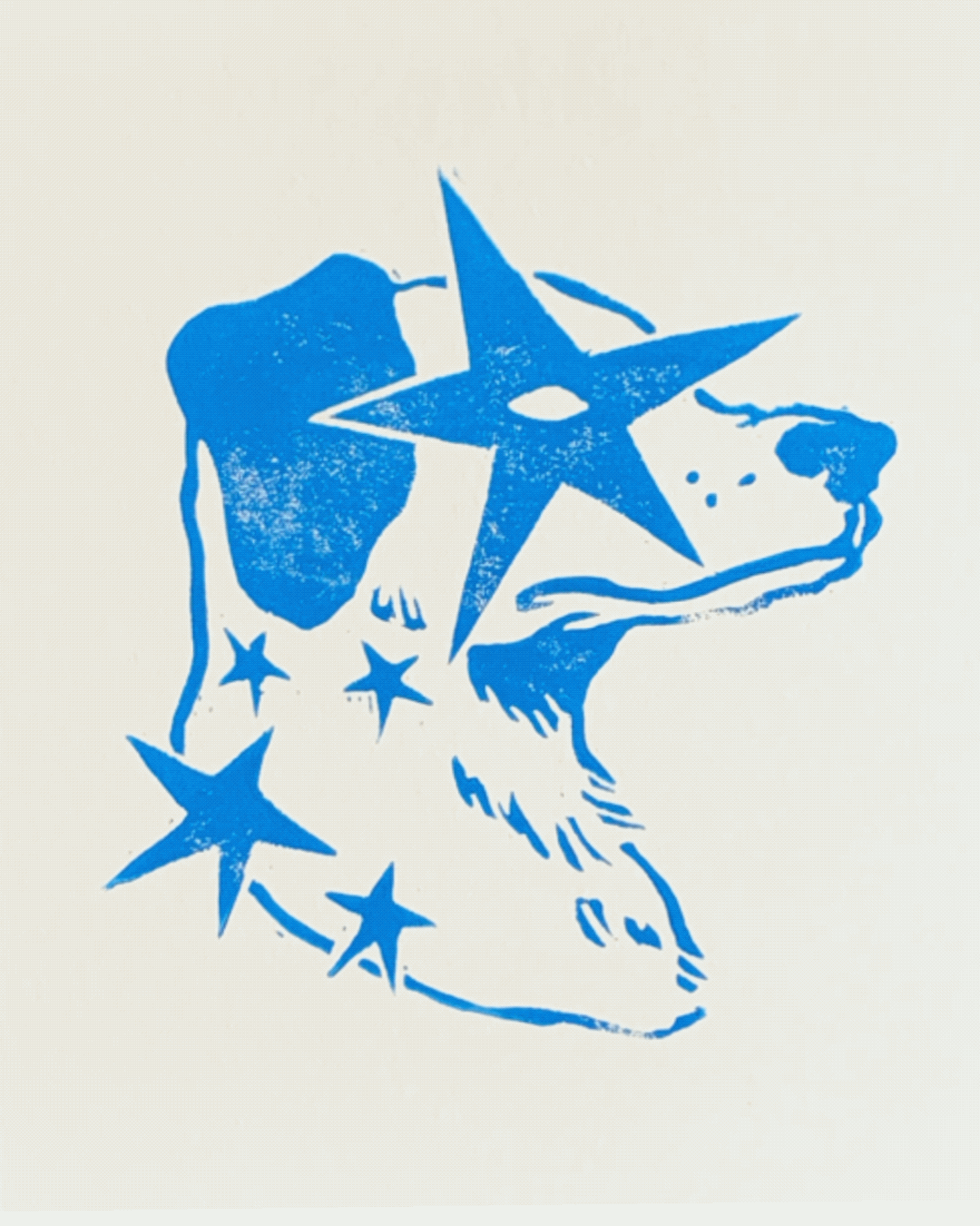 Star pup blue.gif