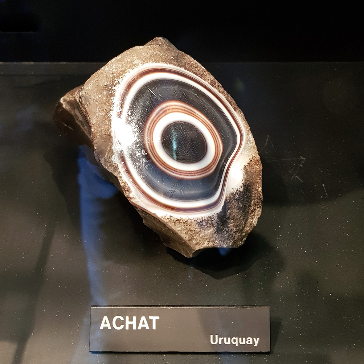 20180521_153908.jpg