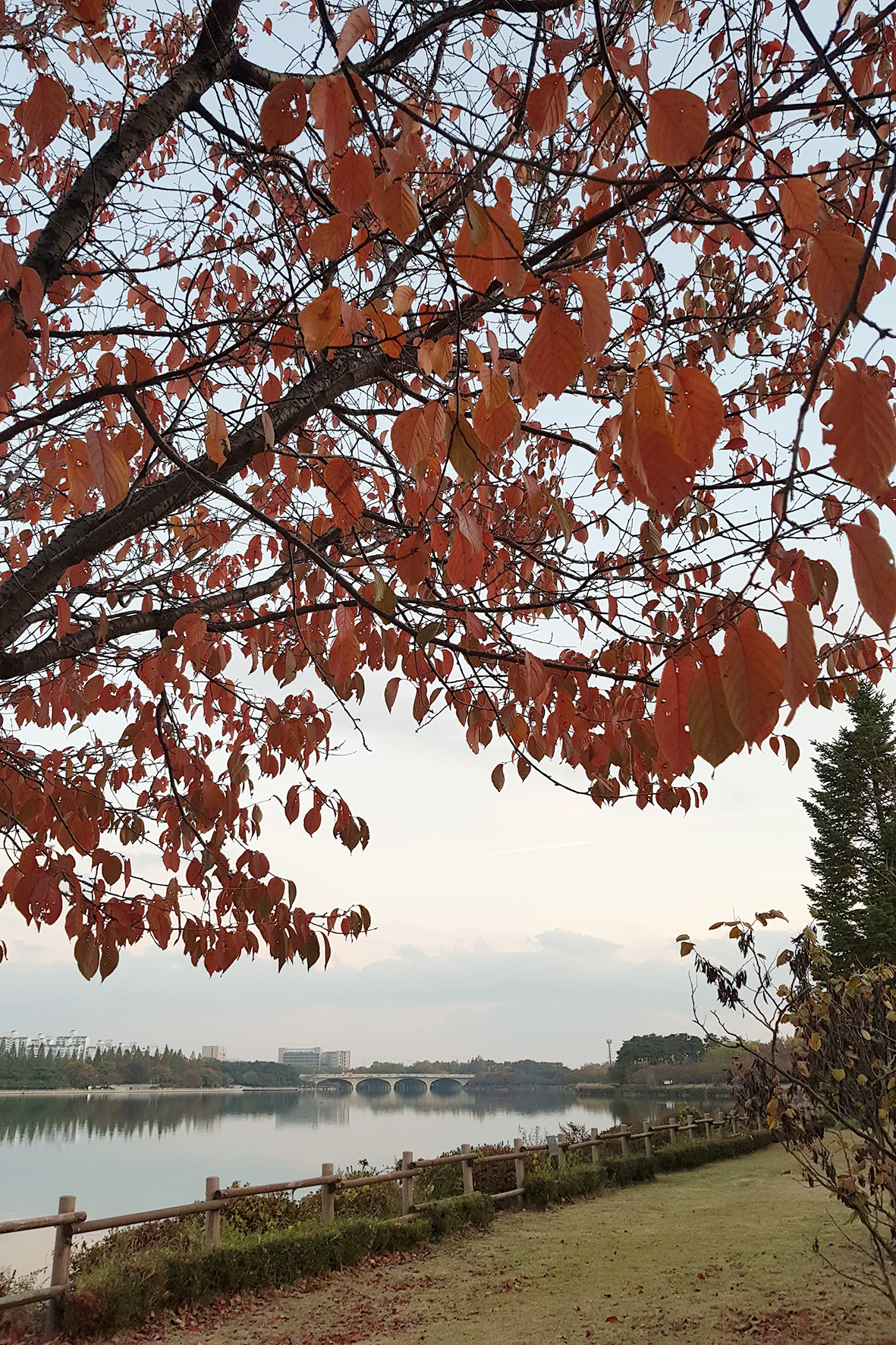 20171031_173853.jpg