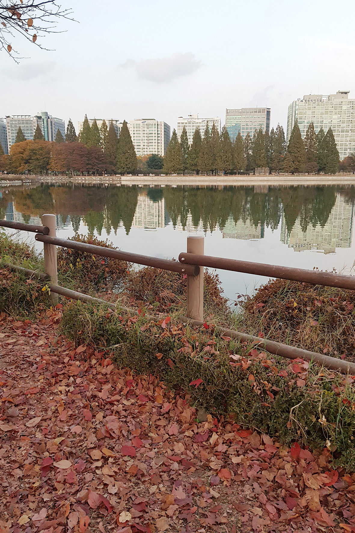 20171031_173912.jpg