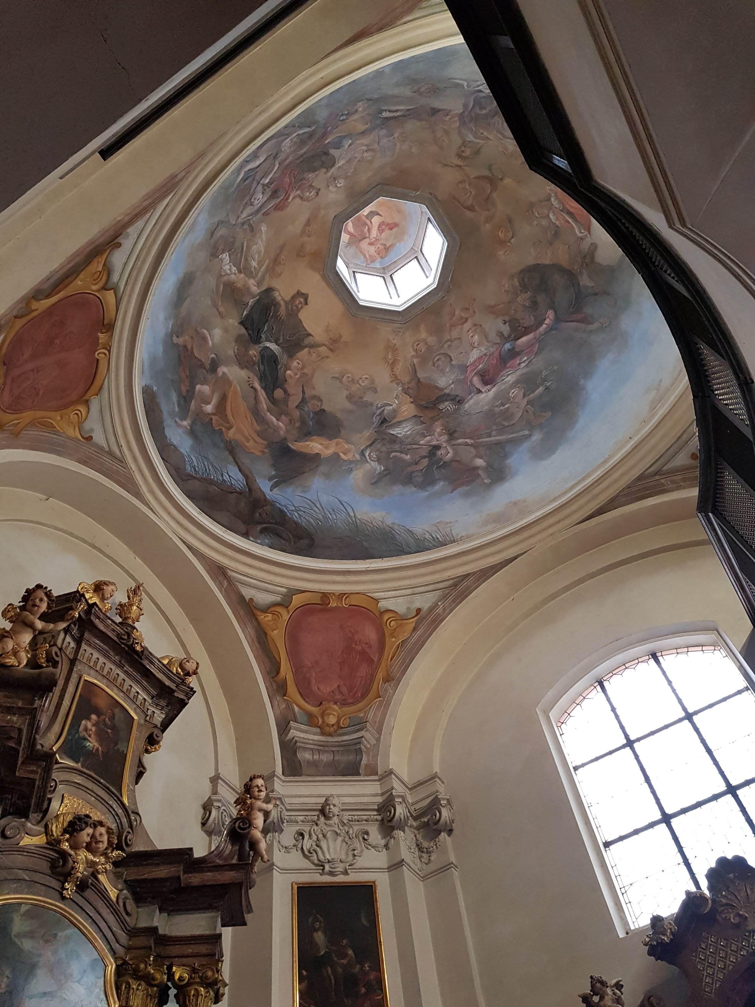 20180516_114628.jpg