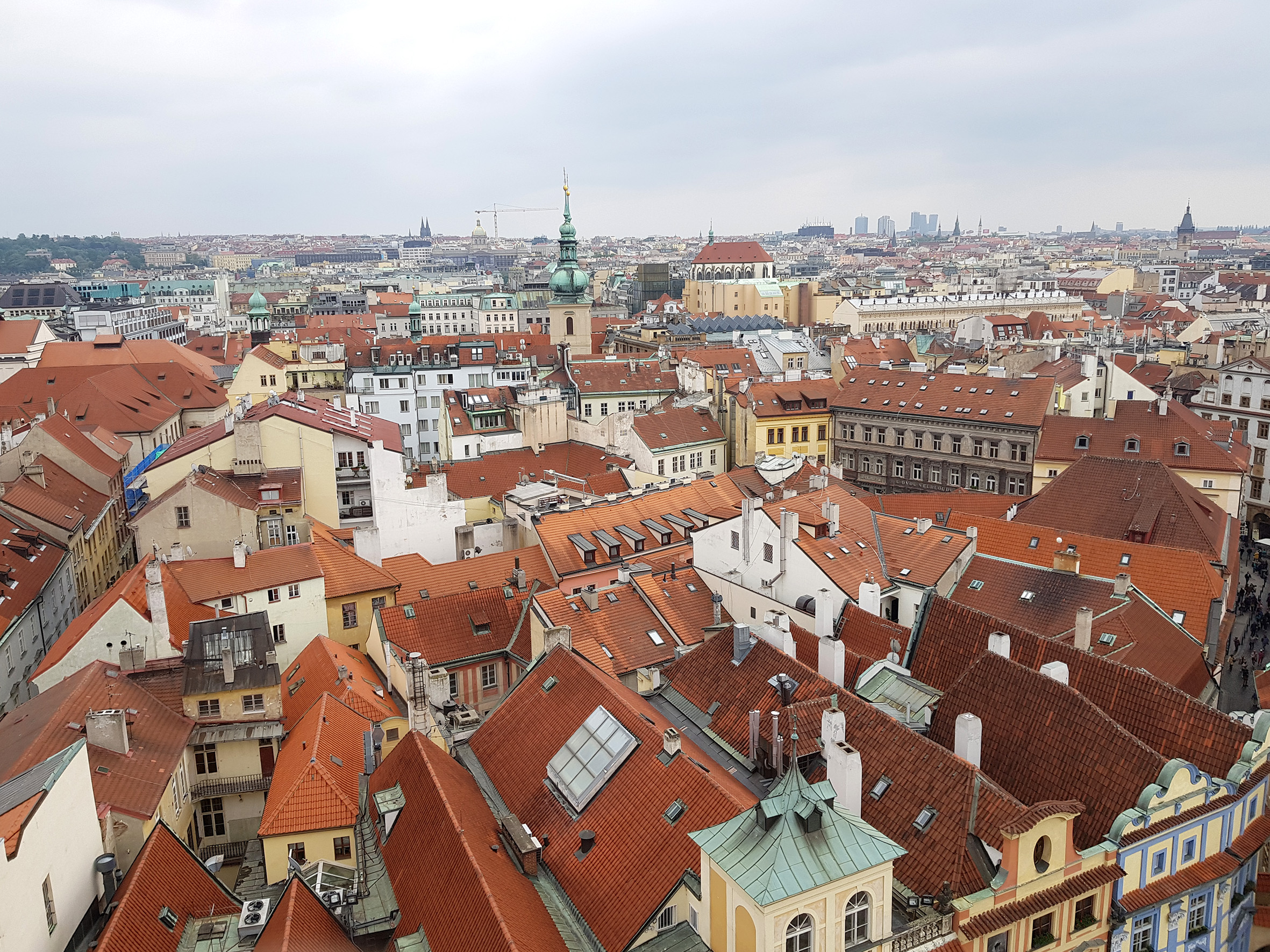 20180517_145526.jpg