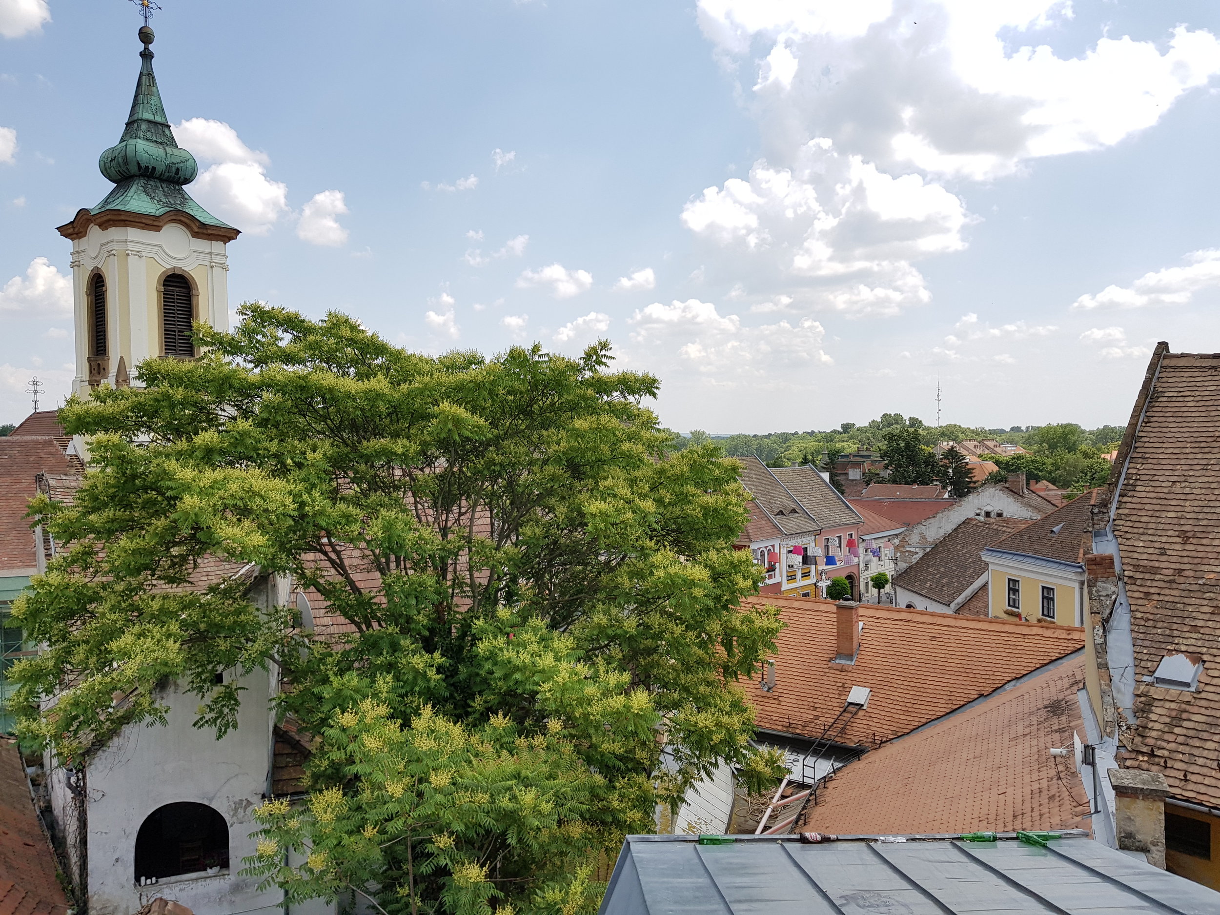 20180529_133654.jpg