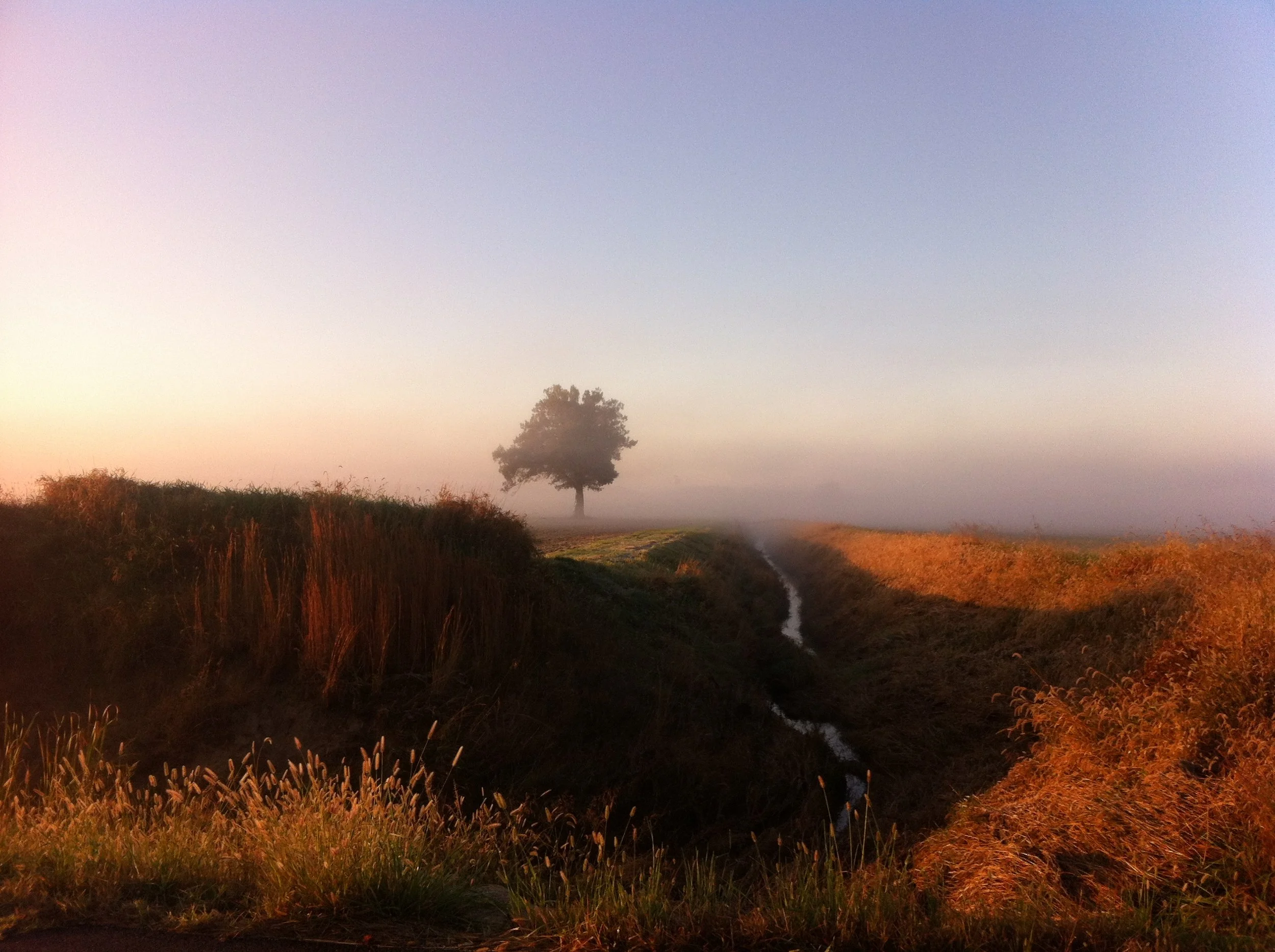 NONDOMUS home page photo copy 3.jpeg