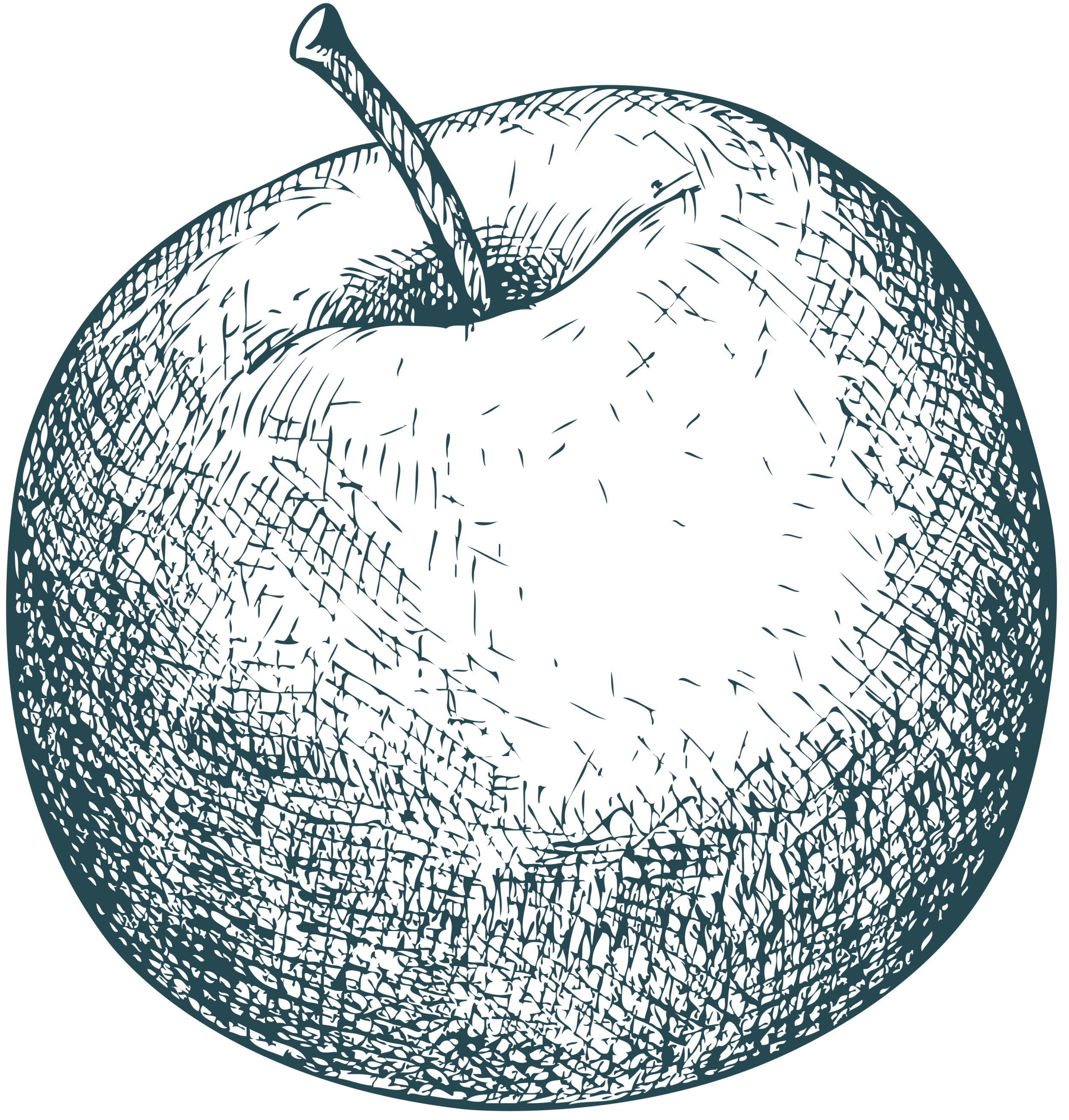 apple fruit 1.png