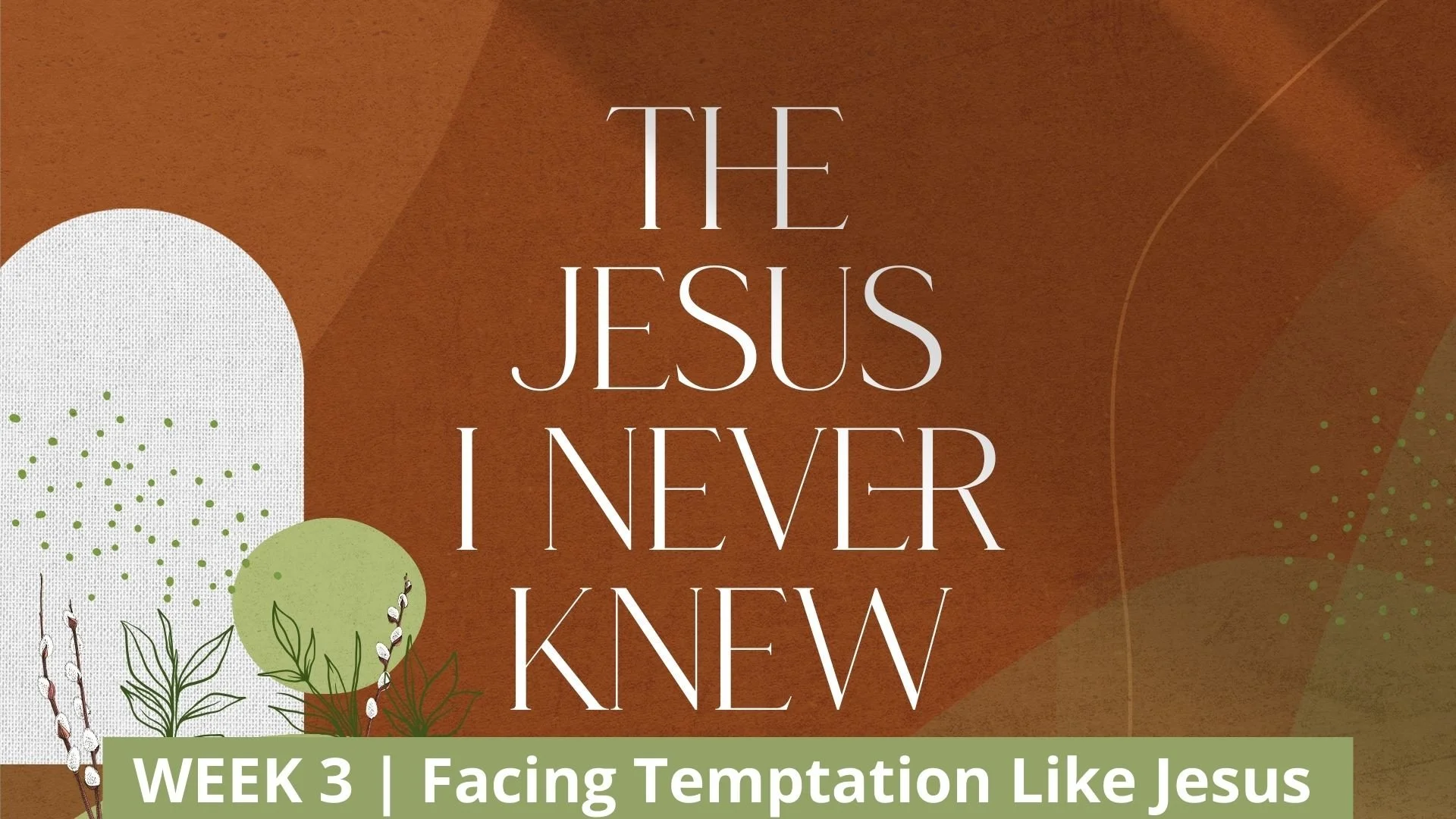 Facing Temptation Like Jesus