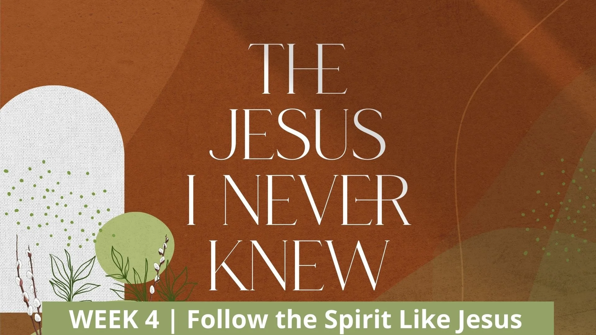 Follow the Spirit Like Jesus