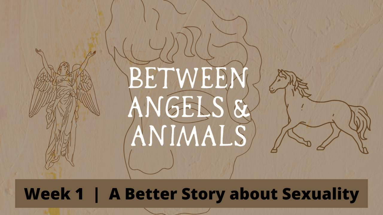 Between Angels &amp; Animals  |  Week 1  |  A Better Story about Sexuality