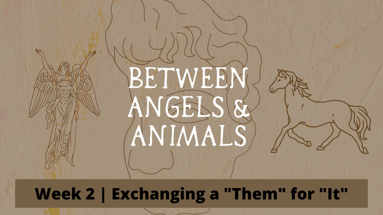 Between Angels &amp; Animals  |  Week 2  |  Exchanging a "Them" for "It"