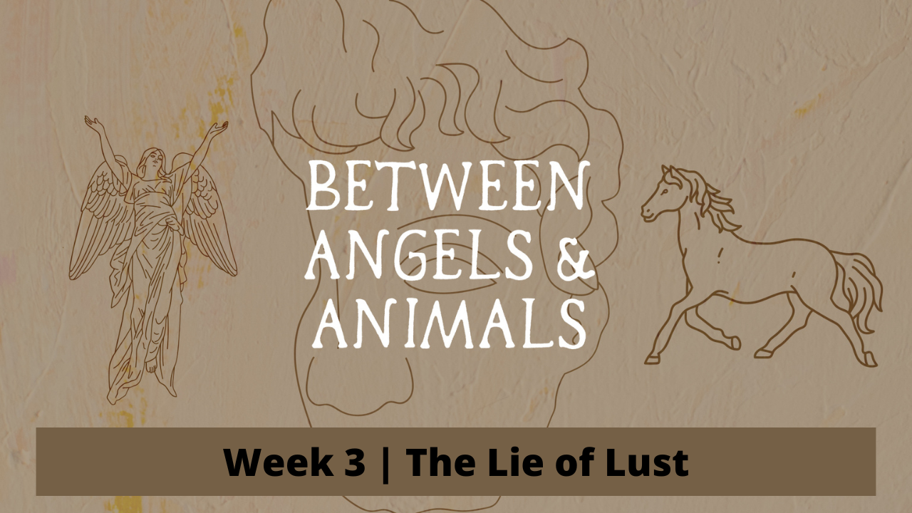Between Angels &amp; Animals | Week 3 | The Lie of Lust