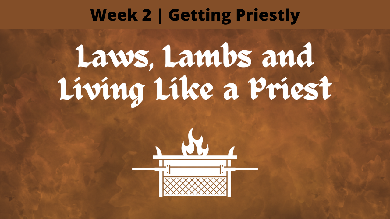 Laws, Lambs and Living Like a Priest  |  Week 2  |  Getting Priestly