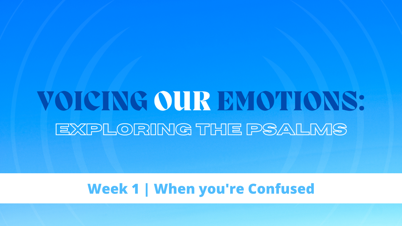 Voicing Our Emotions | Week 1 | When you're Confused