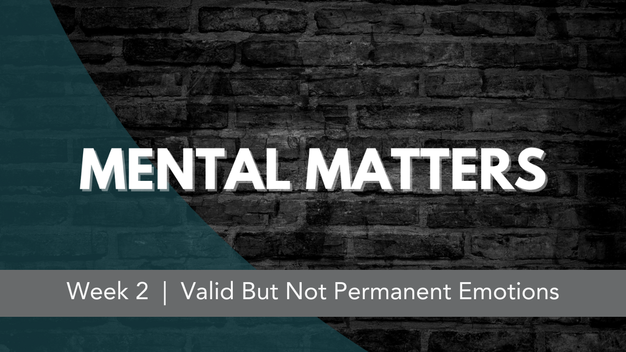 Mental Matters  |  Week 2  |  Valid But Not Permanent Emotions