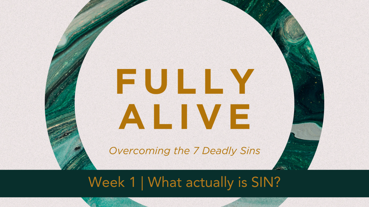 Fully Alive  |  Week 1  |  What actually is SIN?
