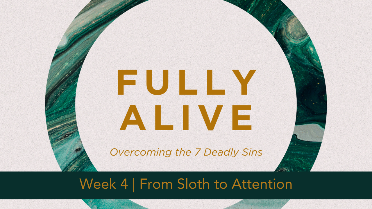 Fully Alive  |  Week 4  |  From Sloth to Attention
