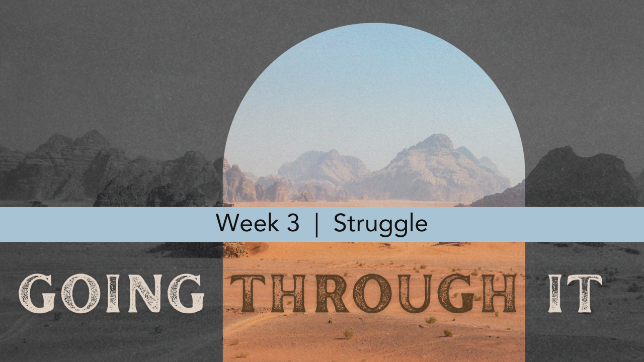 Going Through It  |  Week 3  |  Struggle