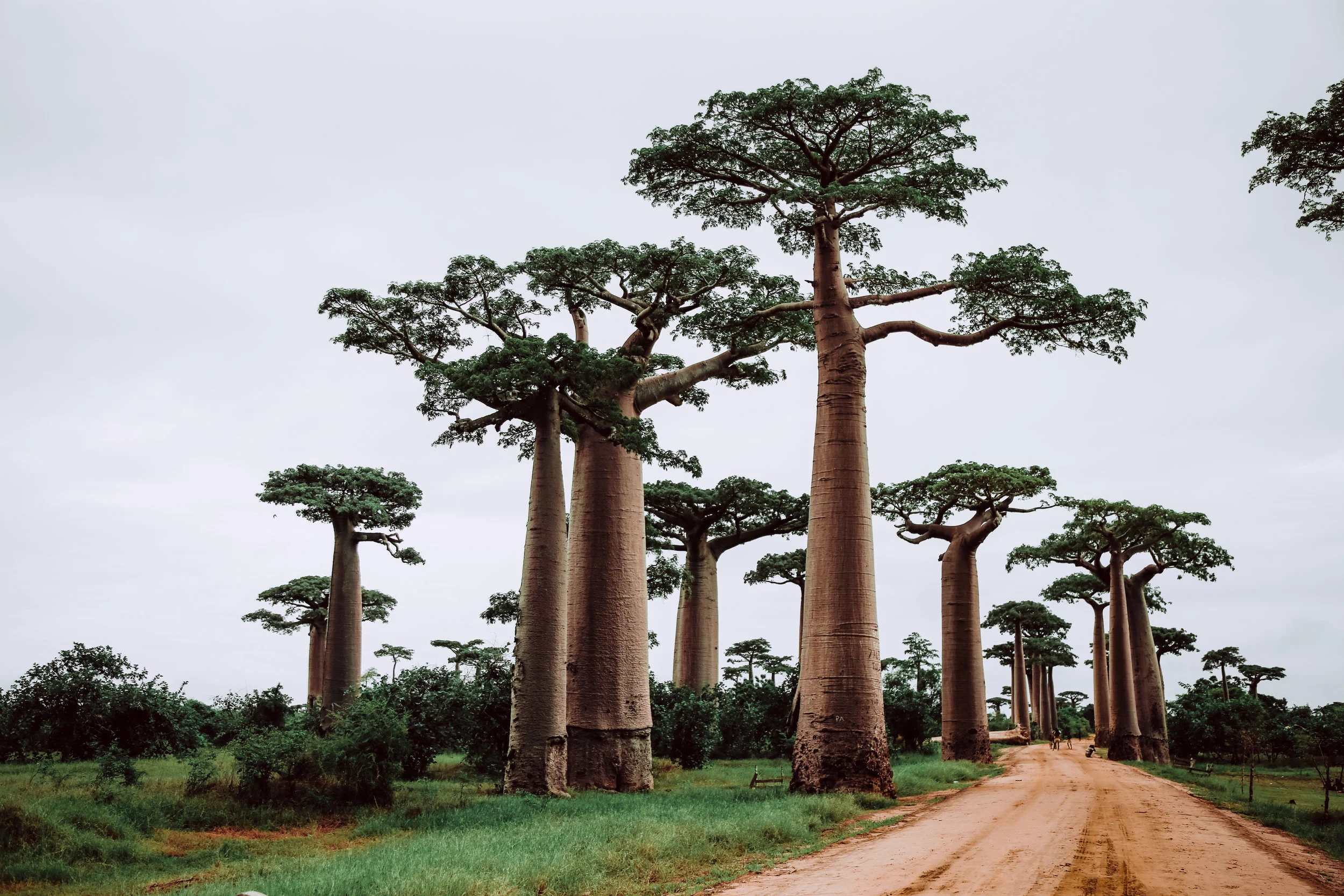 Cette parole qui construit l'estime de soi. Sagesse Africaine I