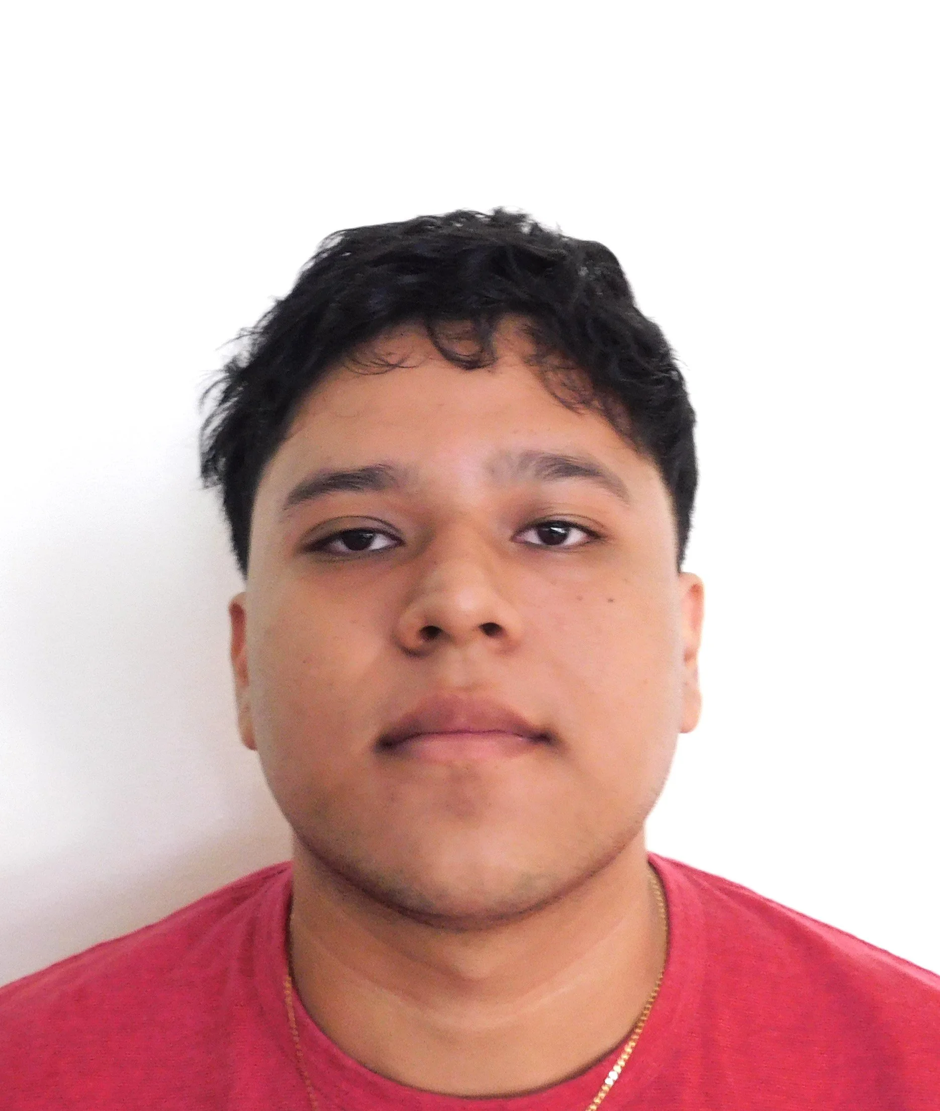 Luis Navarro