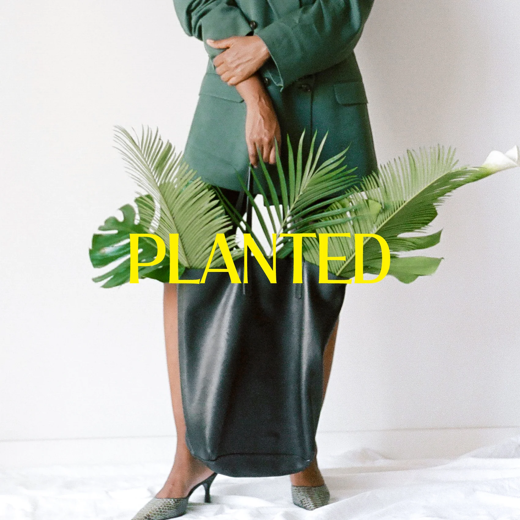 Planted.jpg