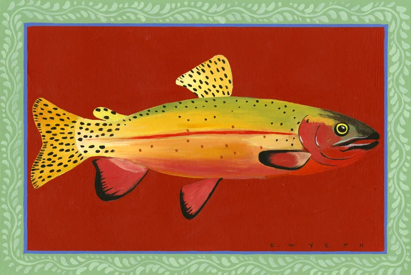 Cutthroat Trout