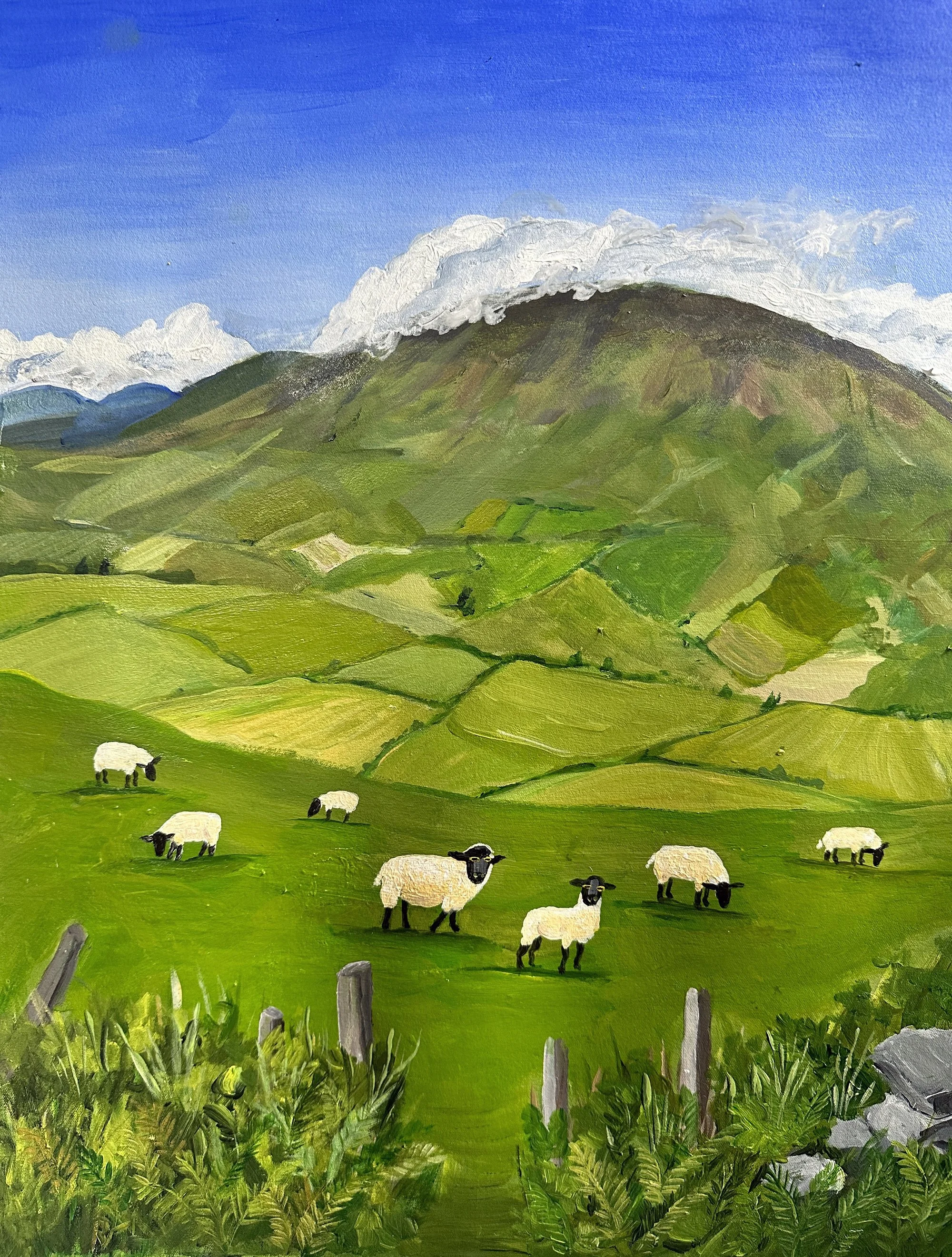 Grazing Sheep, Ireland 2023.jpg